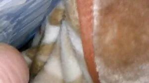فيديو HANDJOB مع تيفاني البناني سكسي واتسون من Reality Kings