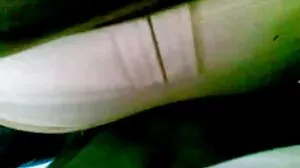 الغراب