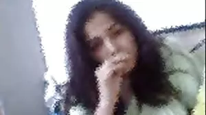 ستيلا فليكس