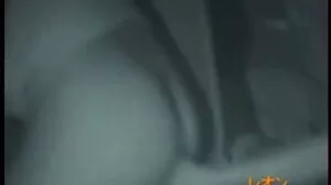تريكسي تاو