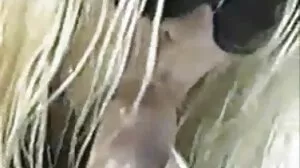 تقبيل الجنس مع مثير Inga من احلى سكسي لبناني 18 VideoZ