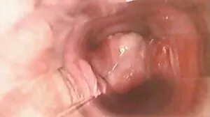 فيلم المقص مع المحافظ إيزابيل ديلتور وميليسا لين لبناني سكسي من Cherry Pimps