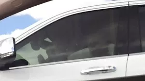 نائب الرئيس على كس